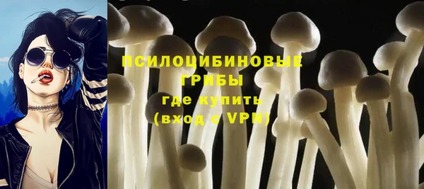 дмт Абинск
