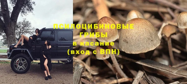 мдпв Михайловск