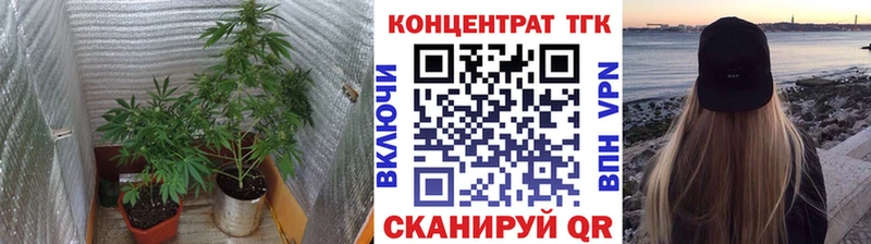 Дистиллят ТГК Wax  где найти наркотики  Устюжна 