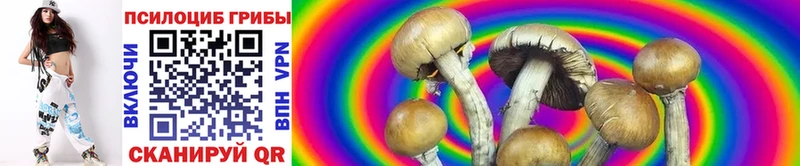 цена наркотик  Устюжна  Галлюциногенные грибы Magic Shrooms 